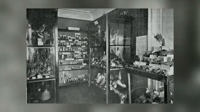 Ярославский музей-заповедник отпраздновал 156 лет со дня основания смотреть онлайн