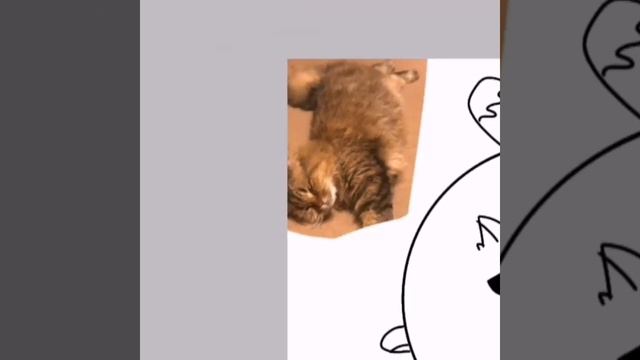 как просто нарисовать кота? рисую своего кота! смотреть онлайн