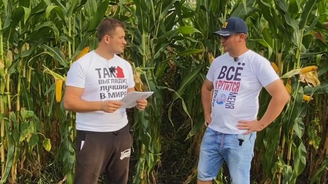 Технология выращивания кукурузы. Наш опыт. Часть 1 смотреть онлайн