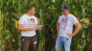 Технология выращивания кукурузы. Наш опыт. Часть 1