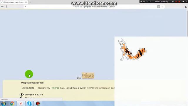 Catwar - мини обзор.