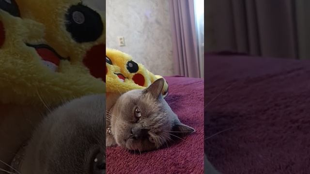 если девушка много жрет кто она? смотреть онлайн