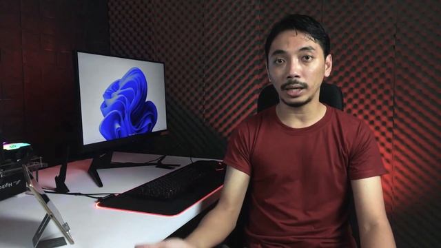 Monitor Refresh Rate Tinggi Ternyata Punya Efek Samping | ft. Gigabyte Aorus FI27Q-X смотреть онлайн