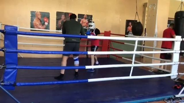 Бокс учебный спарринг... смотреть онлайн