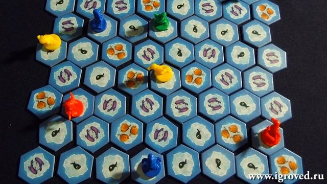 Эй! Это МОЯ рыба! Обзор настольной игры от Игроведа