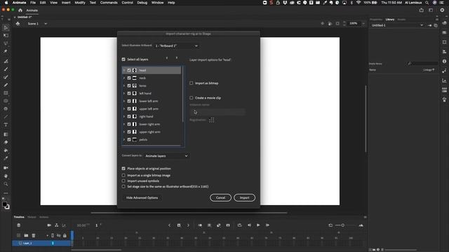 Import Illustrator Layered Files Into Adobe Animate
