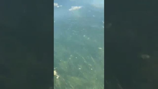 Каспийское море сегодня, квартиры посуточно для туристов. турпоездки по Дагестану 89673912022(1) смотреть онлайн