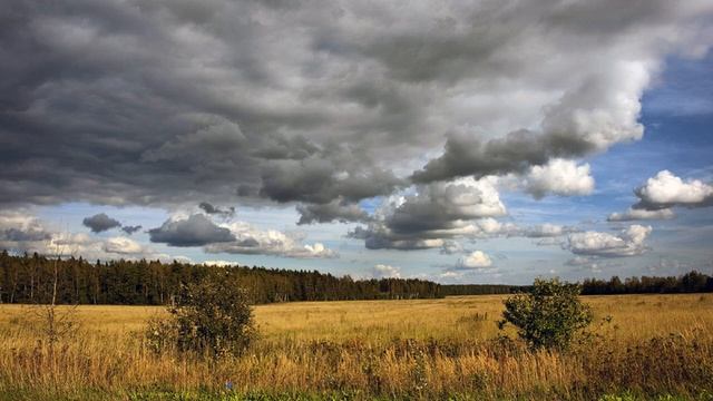 Народные приметы на 7 августа. смотреть онлайн