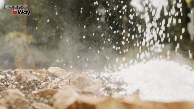 Избавилась От Пырея Одуванчиков И Проволочника За 1 Применение! Как Известь Избавит Вас От Сорняков смотреть онлайн