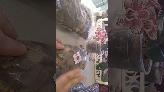 Субстраты От Магазина " Орхорай". Мое Мнение. смотреть онлайн