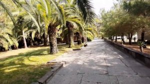 Пансионат Сосновая роща. Территория, пляж, отзыв. Абхазия 28 июня 2021 г.