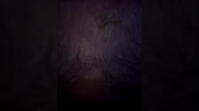 Колекция животных лего смотреть онлайн