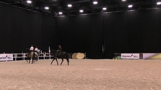 Потрясающе красивый испанский танец верхом на лошадях. Андалузская испанская лошадь #Иппосфера 2017 смотреть онлайн