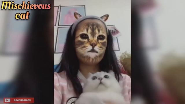 Реакция котов на маску 😹 Cats ' reaction to the mask | FullHD смотреть онлайн