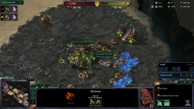 SeKo Starcraft - Vortix vs Lucky - Zotac Cup Finals - Pro SC2 HOTS Replays смотреть онлайн