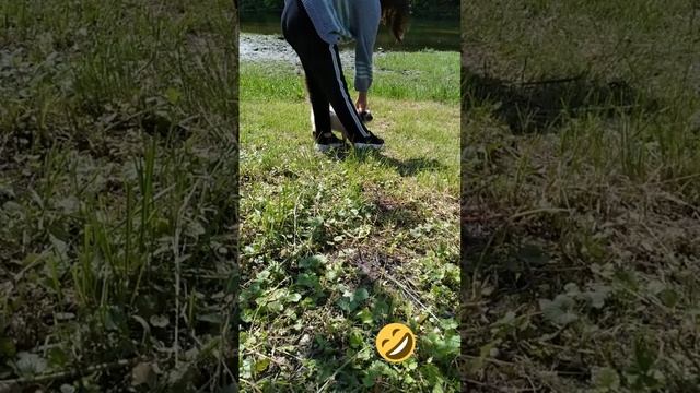 ?⬛Кошачья жизнь ?⬛ смотреть онлайн