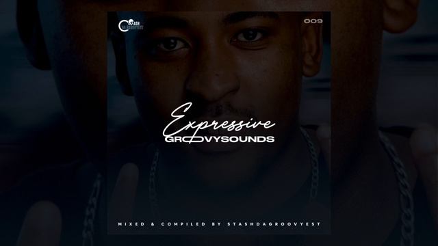 Stash Da Groovyest - Expressive Groovy Sounds 009 смотреть онлайн