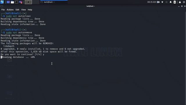 Pulire cache Kali Linux con APT da terminale смотреть онлайн