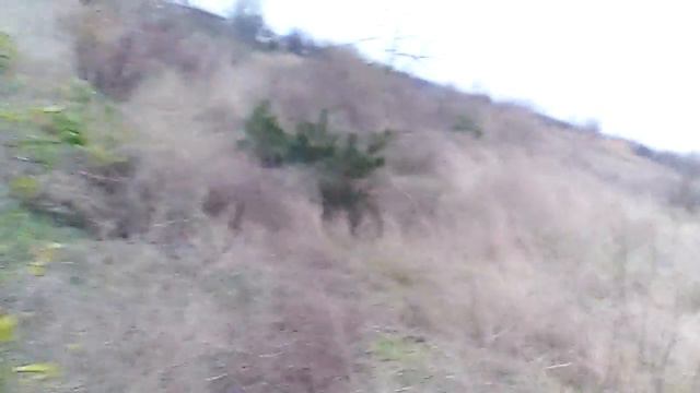 Нашли Фазана смотреть онлайн