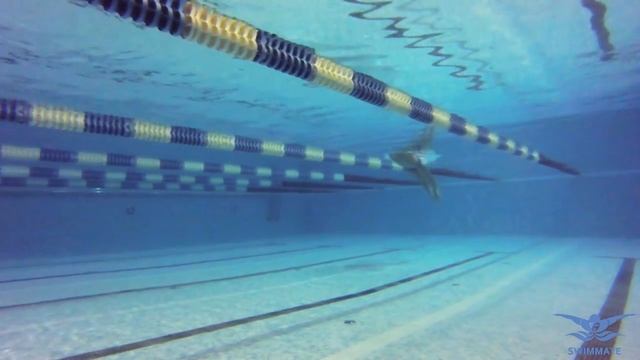 КАК ЛЕГКО И КРАСИВО ПЛАВАТЬ БАТТЕРФЛЯЕМ_ УРОК 5. УРОКИ БАТТЕРФЛЯЯ @ Swimmate.ru.mp4 смотреть онлайн