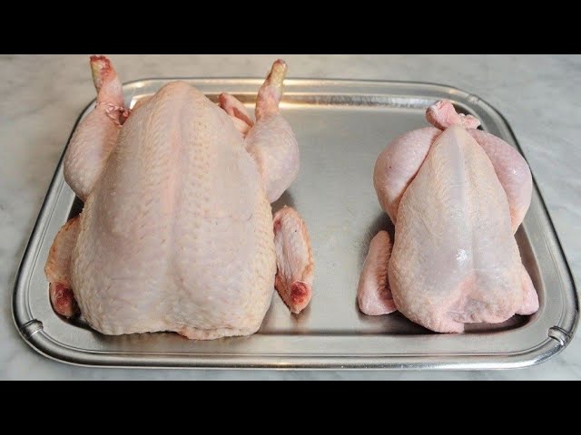 Домашняя тушёнка из индейки в автоклаве простой и вкусный рецепт. смотреть онлайн