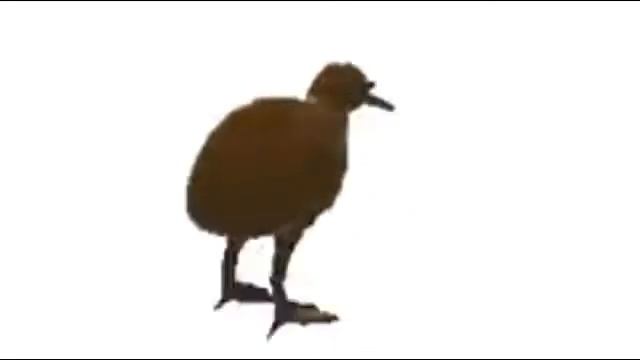 kiwi bird spinning for 10 minutes смотреть онлайн
