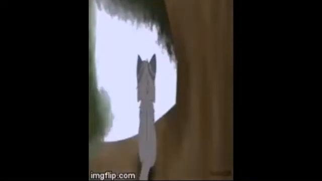 Коты воители Целый мир освещают твои глаза если в сердце живёт любовь смотреть онлайн