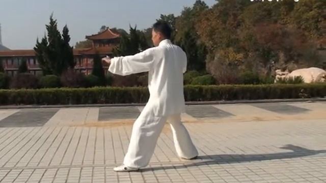 Чэнь Чжэньшэн демонстрирует Хунчуань Эрлу, с именованием форм смотреть онлайн