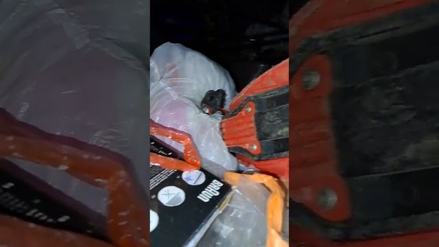 02 - Незаконная кладовка 37 кв в подвале дома 2023 02 19 13-55-12