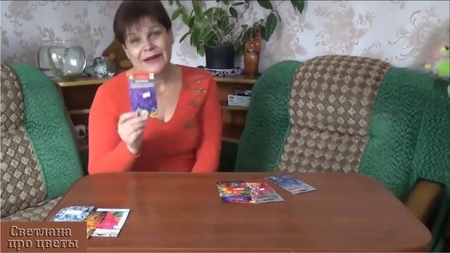 Однолетники цветущие все лето Неприхотливые цветы простые в уходе смотреть онлайн