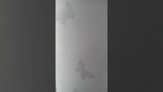 Натяжная стена с подсветкой смотреть онлайн