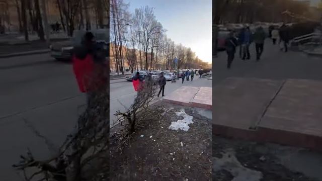 Супер трафик! Яна Райниса 2к1