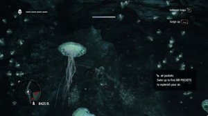 Assassins Creed IV Black Flag | treasure map 55, 178