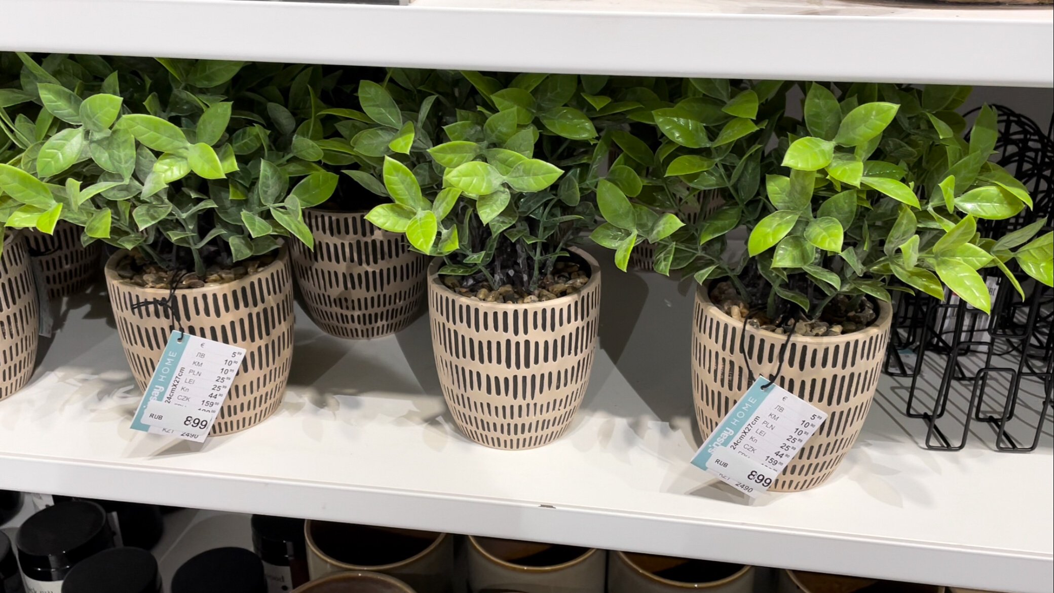 ВАЖНО ❗️ПОСЛЕДНЕЕ ВИДЕО ❗️ОШЕЛОМИТЕЛЬНЫЕ НОВИНКИ и ЦЕНЫ в Sinsay смотреть онлайн