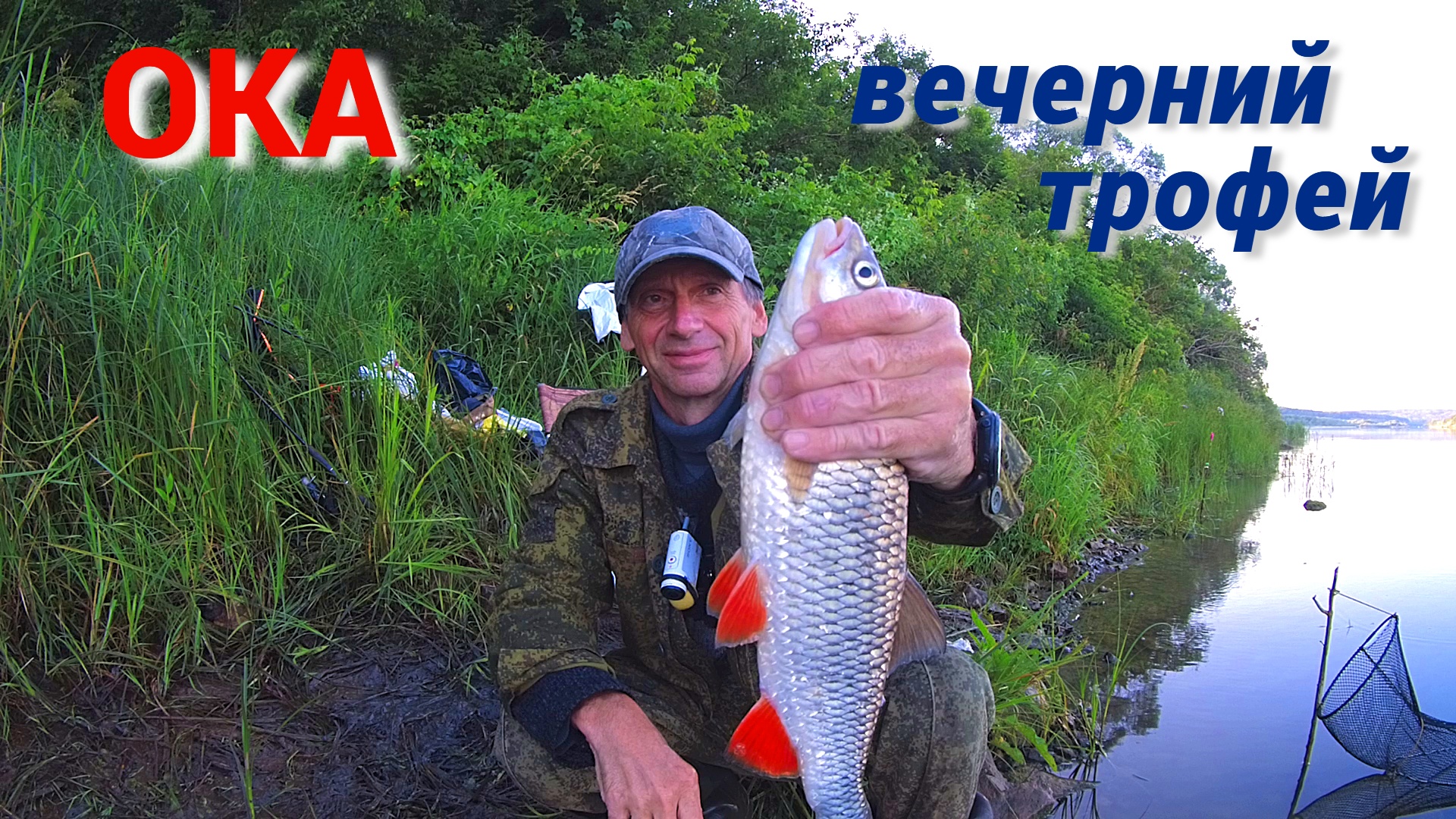 УДОЧКА ПОЛЗЁТ В ВОДУ. ТРОФЕИ КЛЮЮТ ВЕЧЕРОМ. Рыбалка на ГОРОХ, ПШЕНИЦУ и САЛО на ОКЕ. смотреть онлайн