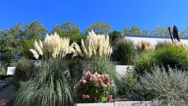 Два коротких стиха: „сознательно“ и „Твоя воля“