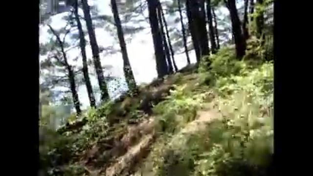 Дельфинья бухта (июнь 2012) смотреть онлайн