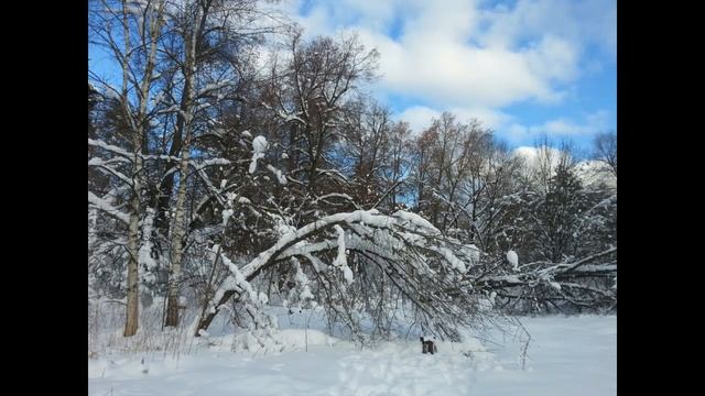 Усадьбы Вязёмы, Захарово. Пушкинские места. Фотоотчет смотреть онлайн
