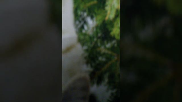 Обзор журнала котэло смотреть онлайн