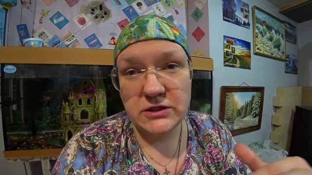Фиалки. Отвечаю на вопросы. смотреть онлайн