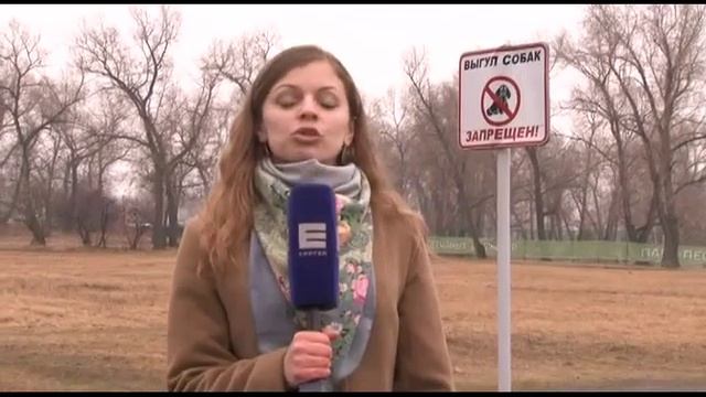 Правила выгула собак смотреть онлайн