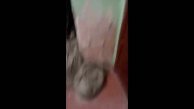 КАК НАДО ЗДОРОВАТЬСЯ С СОСЕДЯМИ? смотреть онлайн
