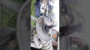 Муравей задний подшипник