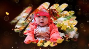 Коллекция заставок слайд-шоу