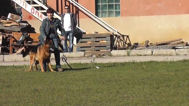 Энрико с Логойского тракта смотреть онлайн