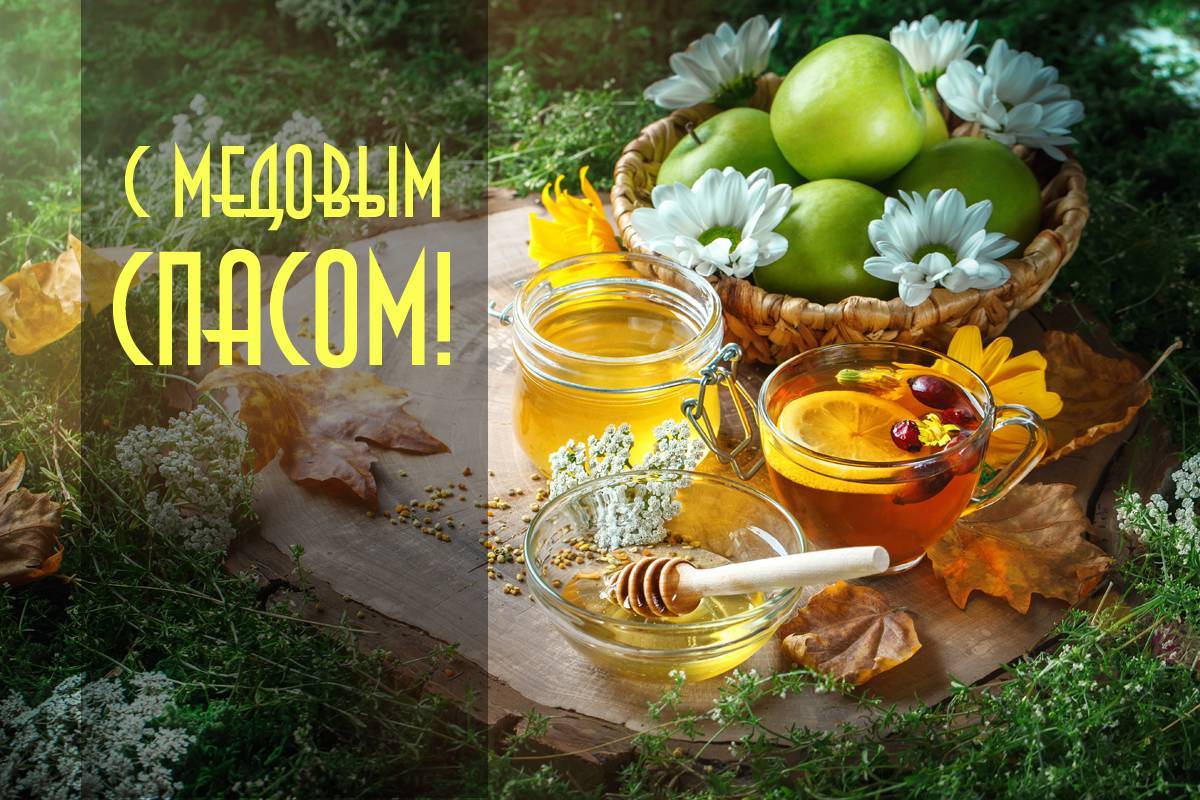 Музыкальная открытка "14 08 Тебя с Медовым Спасом поздравляю!" смотреть онлайн