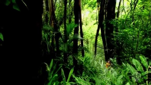 Carrossel | Capítulo 25 - 07/09/18, Completo