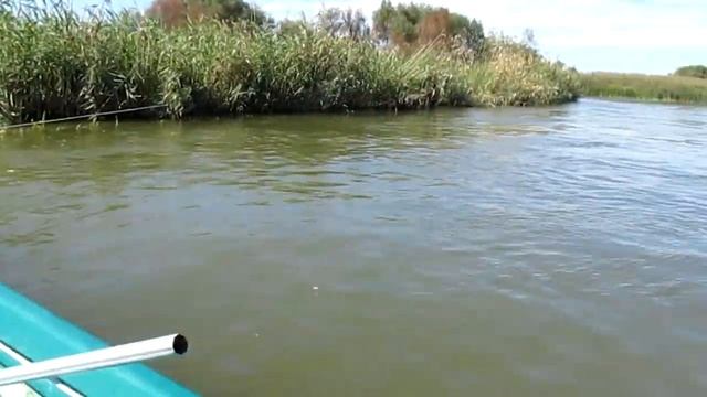 ЛОВЛЯ СУДАКА в Мумре| Главный банк | Рыбалка в Мумре смотреть онлайн