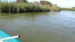 ЛОВЛЯ СУДАКА в Мумре| Главный банк | Рыбалка в Мумре