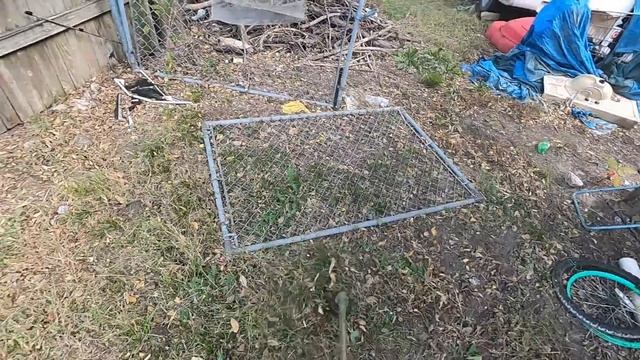 Mowing Extremely Tall Grass Using Only A Weedeater | Oddly Satisfying Lawn Mowing